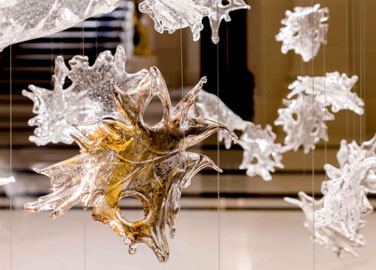 Customization Process